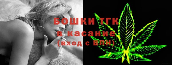 мдпв Каменка