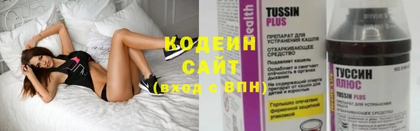 мдпв Каменка