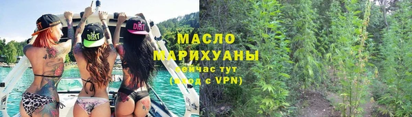 мдпв Каменка