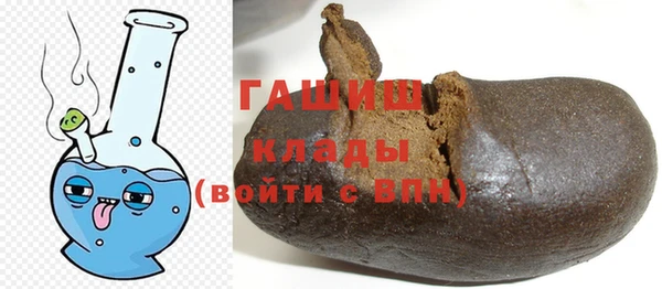 мдпв Каменка