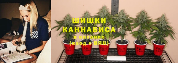 мдпв Каменка